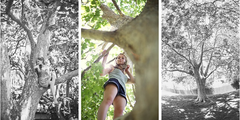 annie in a tree2