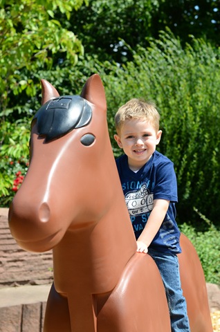[Luke%2520horse.jpg]