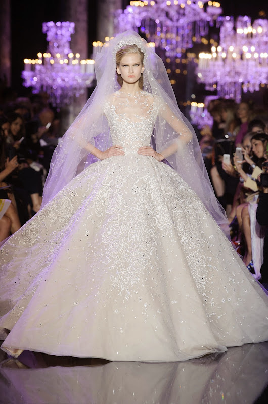 eliesaab-inverno2015-parishc-51 eliesaab-inverno2015-parishc-51