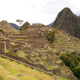 P5273370.JPG