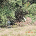 DSCN8137.JPG