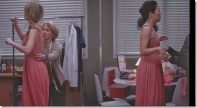 Christina and Meredith, Grey's Anatomy כריסטינה ומרדית' רבות, האנטומיה של גריי
