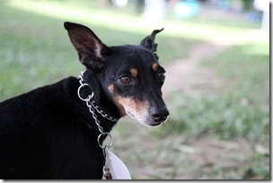 IMG_0376 IMG_0376
