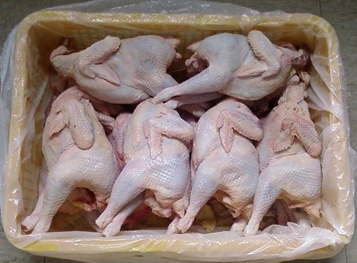 Cảnh giác mua thịt gà giá rẻ