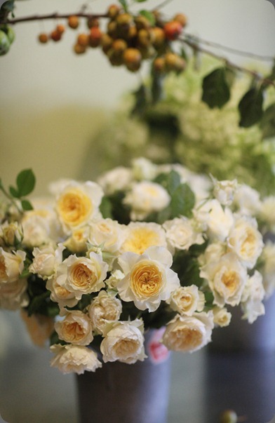 6a0120a5914b9b970c014e8a40c3ad970d-800wi Pilgrim rose by Davis Austin Florali 6a0120a5914b9b970c014e8a40c3ad970d-800wi Pilgrim rose by Davis Austin Florali