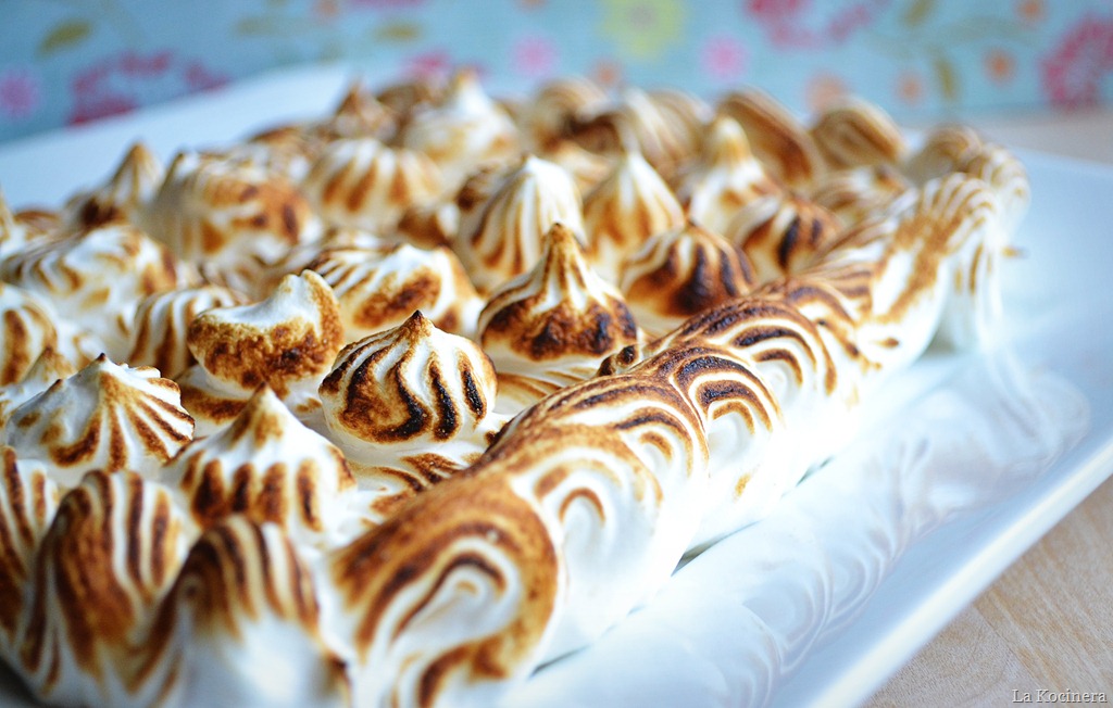 [torched%2520meringue%25201%255B30%255D.jpg]