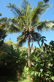DSC_0004.jpg
