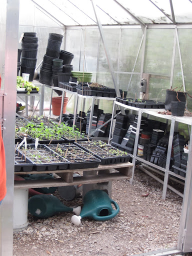 A greenhouse lets new sprouts get started.