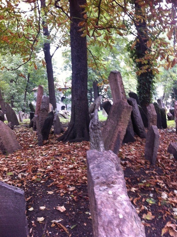 [IMG_0123%255B4%255D.jpg]