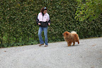 The judging is based on weight, coloring, grooming, personality, and behavior.