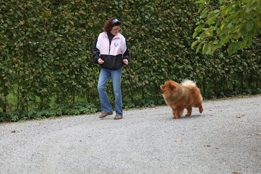 The judging is based on weight, coloring, grooming, personality, and behavior.