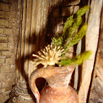 1430-9.JPG