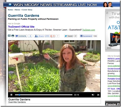 2012 WGN Guerilla Gardening Feature