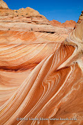 The Wave, Coyote Buttes, Arizona