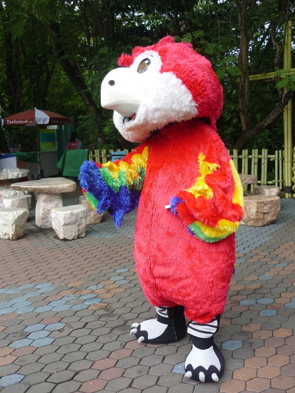[P11606843.jpg]