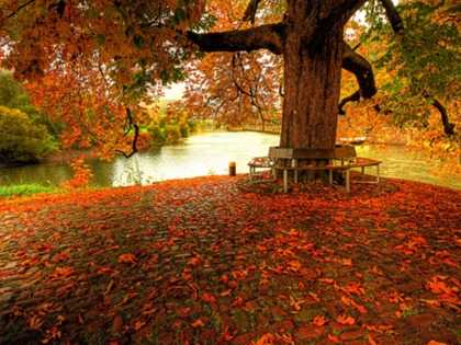 tumblr_m2839bxT2x1qaxf8ko1_500