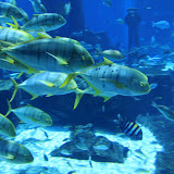 IMG_4785.JPG