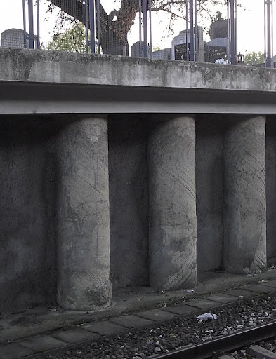 DSCF5519.JPG