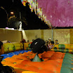 Festa Junina Da Agropéu256.JPG