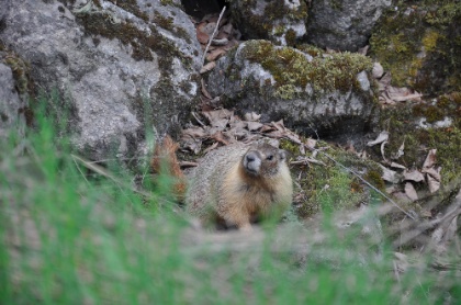 DSC_0630.jpg DSC 0630
