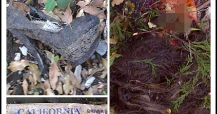 Plane Crash, Jenni Rivera's body was found What Happen Today?