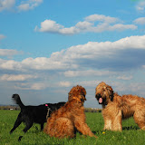 Abi - DSC_0222.jpg