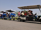 p1238291100(9).jpg