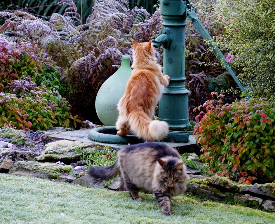 [DSC03196%255B3%255D.jpg]