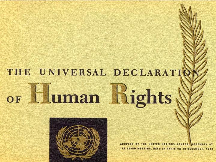[UN-human-rights3.jpg]