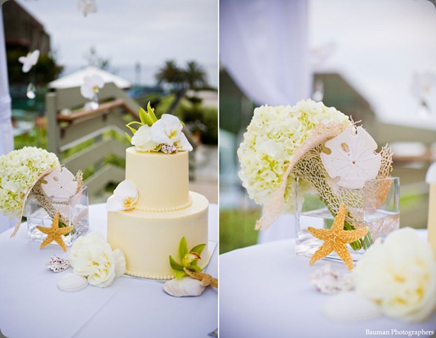 Seashells-wedding-cake karen tran
