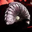 Szalon Divans and Pillows.jpg
