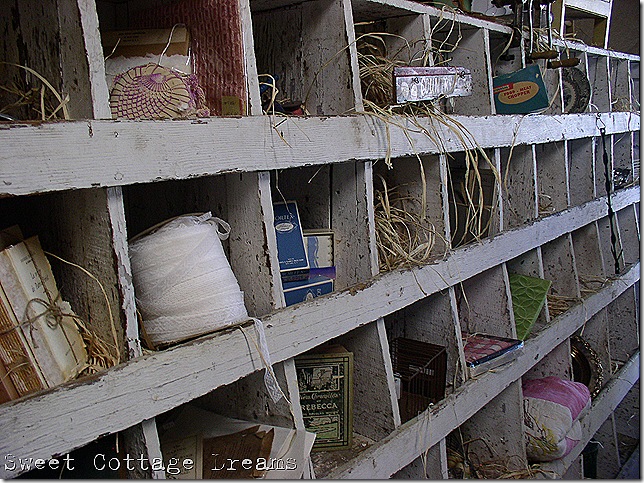 P1010106n P1010106n