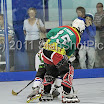 BIPNATS2011-12G18_0031.JPG