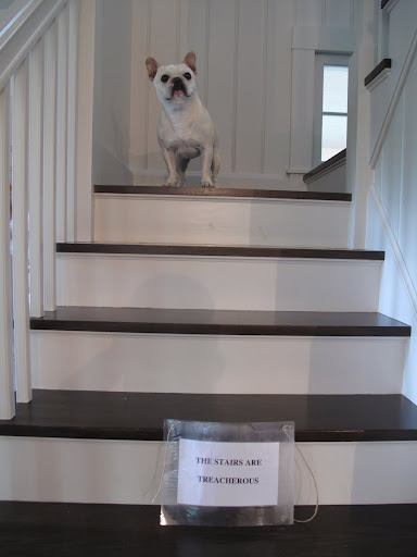 Excuse me, sir?  How long before you get to the stairs?  I need to get down!  I need to eat!  I need to get outside!