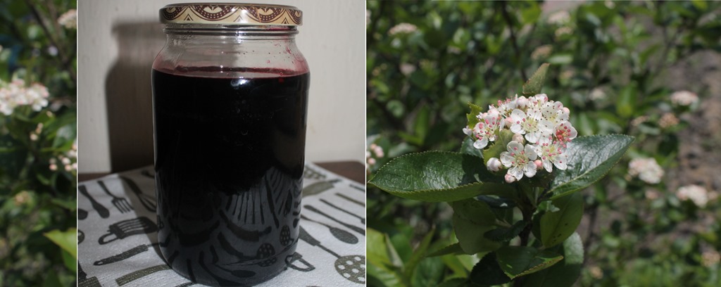 [IMG_5211%255B19%255D.jpg]