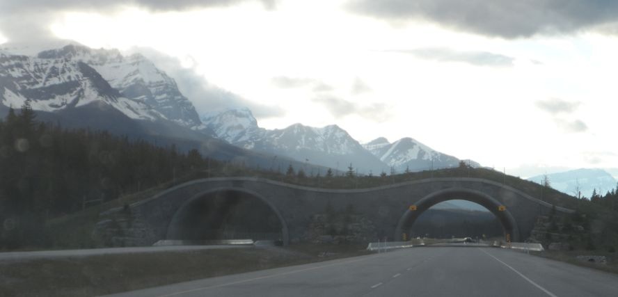 [BanffNationalPark-Highway93-LakeAltr%255B2%255D.jpg]