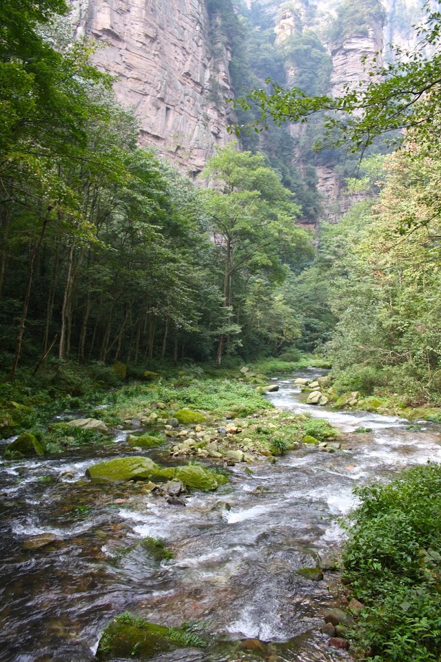 IMG_8617.jpg
