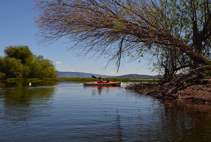 out into Pelican Bay from the Harriman Springs run