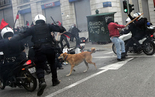 Whether this canine protester is one dog or many, he is a symbol for many a mixed breed stray who.... Whether this canine protester is one dog or many, he is a symbol for many a mixed breed stray who....