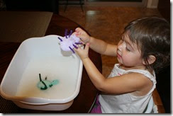 IMG_6100 IMG_6100