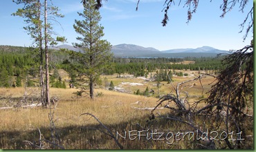 IMG_9031 LowerGroup_HeartLakeGeyserBasin IMG_9031 LowerGroup_HeartLakeGeyserBasin