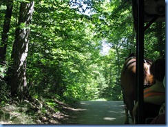 3362 Michigan Mackinac Island - Carriage Tours