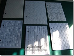 IMG_8169 w IMG_8169 w