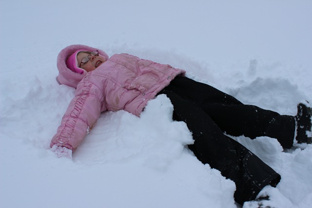 [IMG_08573.jpg]