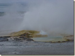 P1000123