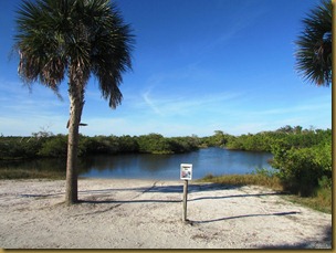 Braoer view of launch site into a mangrove inlet