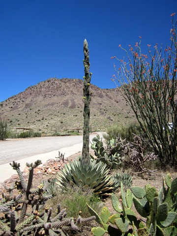 [IMG_0046%255B2%255D.jpg]