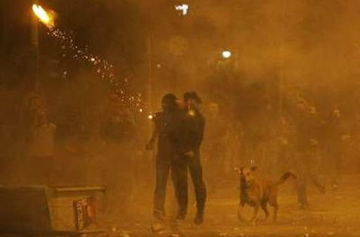 Yet none of this dog's own struggles to survive have chipped away at his capacity to sense the needs of others.... Yet none of this dog's own struggles to survive have chipped away at his capacity to sense the needs of others....