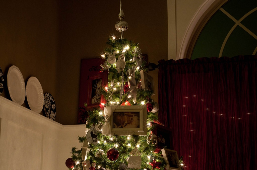 [Christmas-tree-lights-25.jpg]
