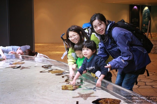 IMG_2989 IMG_2989